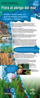 paneles_03.jpg (20397 bytes)