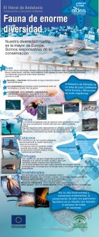 paneles_04.jpg (20496 bytes)